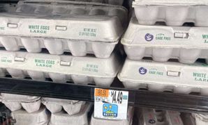 Les importations ne pourront pas compenser à elles seules la perte de production américaine, toujours fragile. Les importations ne pourront pas compenser à elles seules la perte de production américaine, toujours fragile.