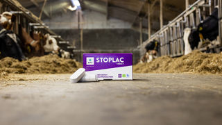Tarissez autrement avec AHV STOPLAC, la dernière nouveauté AHV Tarissez autrement avec AHV STOPLAC, la dernière nouveauté AHV
