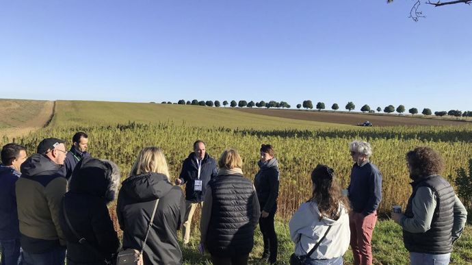 [] BerryChanvre vise un défibrage local