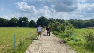 D'après un sondage Web-agri, 56 % des élevages pâturant devrait avoir sorti leurs vaches d'ici la fin mars. D'après un sondage Web-agri, 56 % des élevages pâturant devrait avoir sorti leurs vaches d'ici la fin mars.