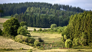 En dehors de quelques averses ce jeudi 3 avril 2025 dans l'ouest de la France, le temps est doux et ensoleillé en fin de semaine, selon Météo-France. En dehors de quelques averses ce jeudi 3 avril 2025 dans l'ouest de la France, le temps est doux et ensoleillé en fin de semaine, selon Météo-France.