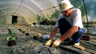 Quelques conseils sur la réglementation en matière de d'emplois saisonniers. Quelques conseils sur la réglementation en matière de d'emplois saisonniers.