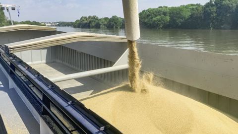 « La France présente plusieurs atouts sur le marché de l'exportation », indique Loys de Monvallier, du groupe Axéréal.