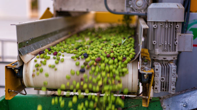 Gelagri Bretagne propose une large gamme de produits surgelés : légumes cuits, poêlées, gratins, purées, potages, plats cuisinés...