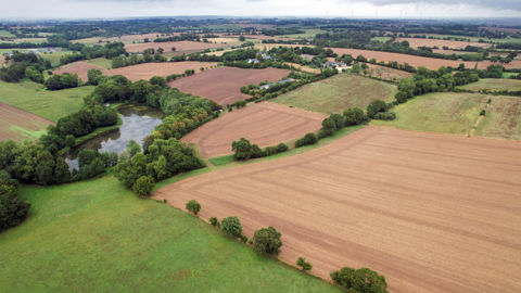 La BCAE 8 de la conditionnalité engage à maintenir les éléments de biodiversité (IAE) tels que les mares, haies et bosquets.