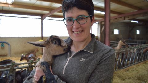 « Les derniers nés sont les plus difficiles à élever d’où l’importance de regrouper les mises-bas », explique Amandine Hérissé, éleveuse de chèvre dans le Maine-et-Loire.