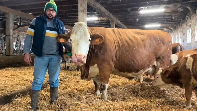 En contrôle de performance, l'éleveur présente des courbes de croissance comparables à celles des éleveurs charolais de son secteur.