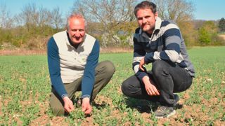 Olivier (à gauche) et Florentin Chaloche cultivent des légumineuses sous différentes formes : dans les couverts, associées avec des céréales ou bien comme ici, en contrat de semence, pour des pois.