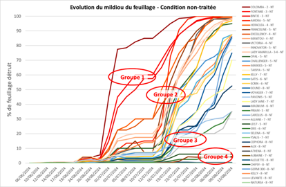 Évolution du mildiou du feuillage - condition non-traitée