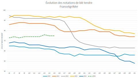 Les notations de blé tendre par FranceAgriMer continuent de rassurer.