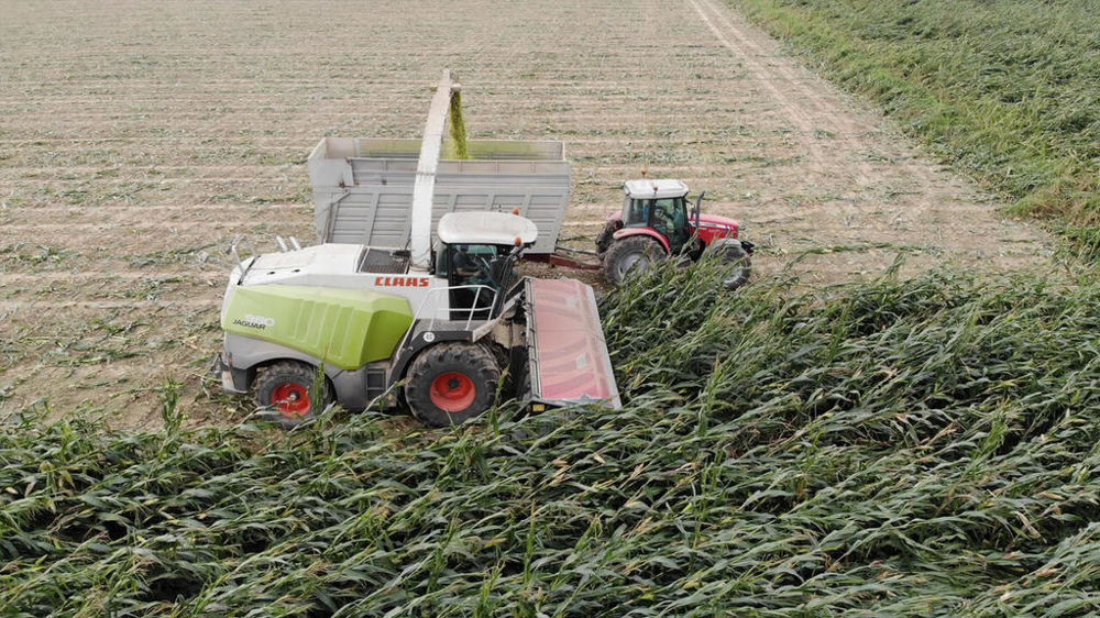 La barre de coupe directe MPD est entraînée par une chaîne à bain d’huile avec réglage automatique de la tension et protection par sécurité à friction Walterscheid.