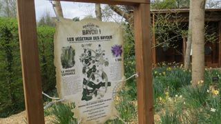 La nouvelle attraction de Terra Botanica transporte les visiteurs en Louisiane pour une exploration de la richesse floristique et faunistique des bayous.