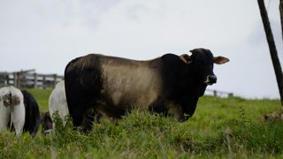 Les déclaration d'un ancien député dans la presse font sortir la FNB de ses gonds.