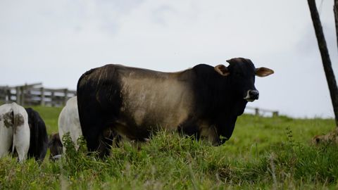 Les déclaration d'un ancien député dans la presse font sortir la FNB de ses gonds.