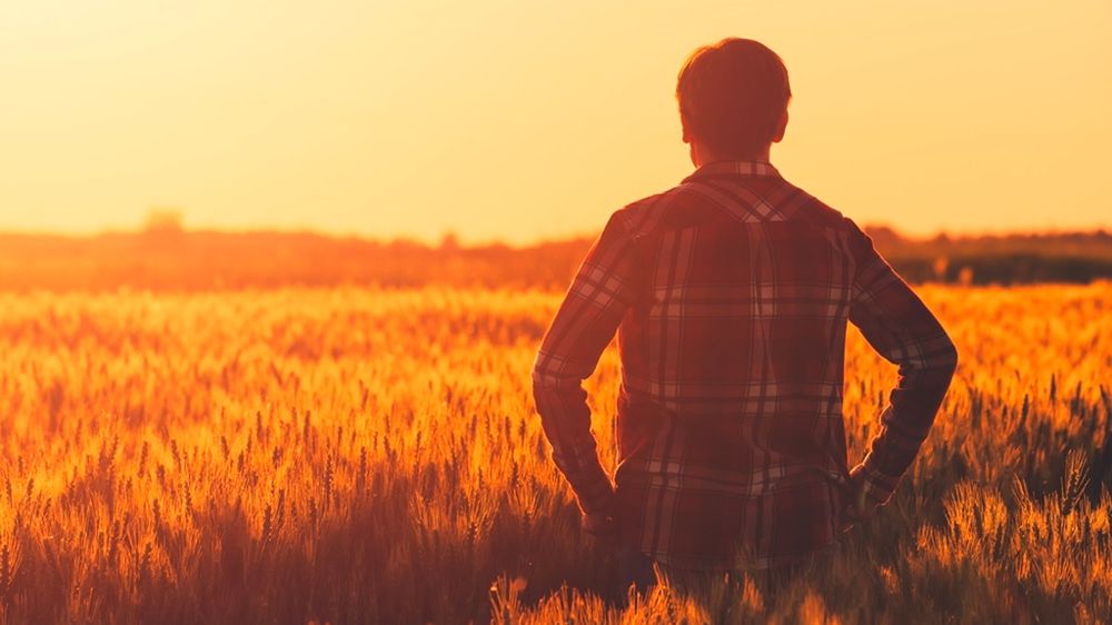 Agriculteur dans un champ