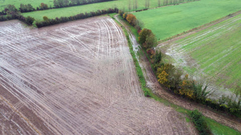 Si la culture prévue et déclarée à la Pac ne peut pas être semée, la déclaration peut être modifiée.