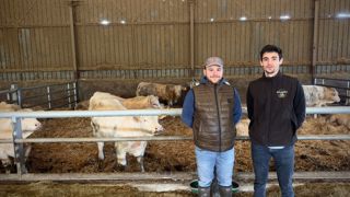 Maxime Mandron contractualise des lots de 10 broutards achetés à l'extérieur avec son technicien Emilien Perceau (Sicarev). Maxime Mandron contractualise des lots de 10 broutards achetés à l'extérieur avec son technicien Emilien Perceau (Sicarev).