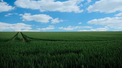 Les précipitations devraient rester rares dans le Nord de la France. Les précipitations devraient rester rares dans le Nord de la France.