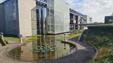 Bassin n° 11 à la fin du chantier (été 2024). Bassin n° 11 à la fin du chantier (été 2024).