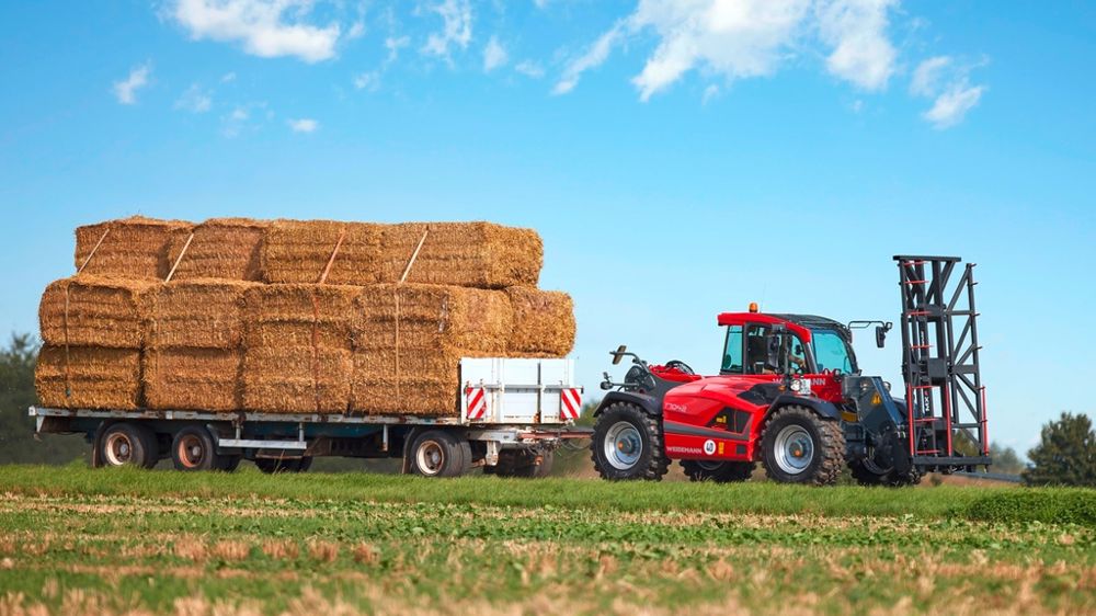 Weidemann Weidemann