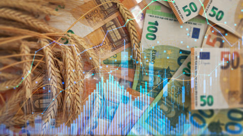 Le rapport Wasde est plutôt baissier pour le blé : pour la campagne 2024-2025, les stocks mondiaux ont été revus à la hausse, sous l'effet notamment d'un relèvement de la production européenne