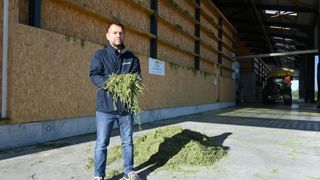« Nous avons opté pour un projet de séchage et conditionnement de la luzerne à taille humaine avec un service de proximité », explique Vincent Barbot, président de la Sica Secoppa, à Olendon (Calvados). « Nous avons opté pour un projet de séchage et conditionnement de la luzerne à taille humaine avec un service de proximité », explique Vincent Barbot, président de la Sica Secoppa, à Olendon (Calvados).