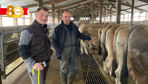 Yann Warnery en train de pointer les génisses de Benoit Guibal, éleveur sélectionneur à Chaudes-Aigues dans le Cantal.