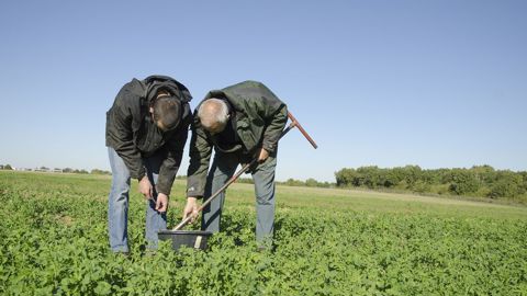 Les teneurs en P Olsen mesurées sur les 172 parcelles de grandes cultures de l’Observatoire PhosphoBio ont été comparées à celles extraites de la base de données des analyses de terre sur la période 2016-2020.