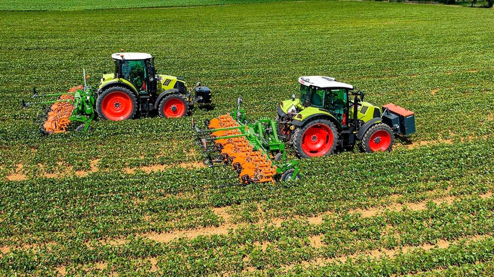 Tour de marché : L’embarras du choix