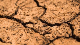 L’agriculture est le secteur le plus vulnérable en cas de sécheresse longue en Europe, estime la Banque centrale européenne. L’agriculture est le secteur le plus vulnérable en cas de sécheresse longue en Europe, estime la Banque centrale européenne.