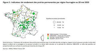 Indicateur de rendement des prairies permanentes par région fourragère au 20 mai 2025 Indicateur de rendement des prairies permanentes par région fourragère au 20 mai 2025