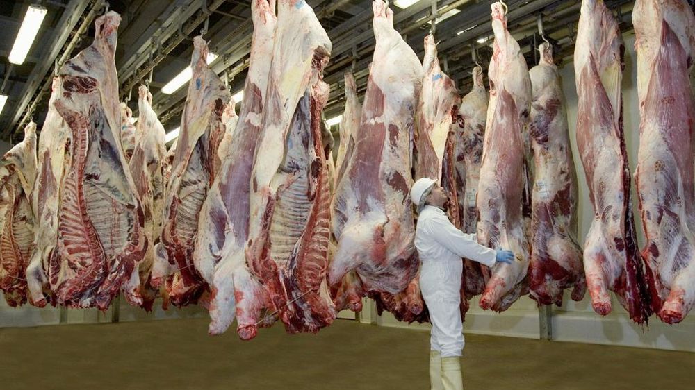 Le rapport souligne la diminution continue du nombre d'abattoirs en France, passant de 767 en 1980 à  230 en 2024.
