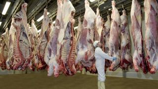 Le rapport souligne la diminution continue du nombre d'abattoirs en France, passant de 767 en 1980 à 230 en 2024. Le rapport souligne la diminution continue du nombre d'abattoirs en France, passant de 767 en 1980 à 230 en 2024.
