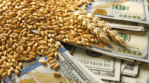L'offensive commerciale lancée par Donald Trump ont lourdement fait reculer le dollar, monnaie d'échange de référence, notamment face à l'euro.