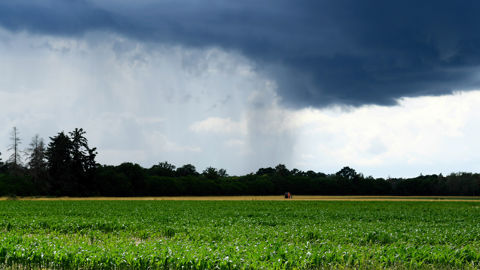La pluie fait son retour dans le nord et donne des airs d'automne au mois de juin. La pluie fait son retour dans le nord et donne des airs d'automne au mois de juin.