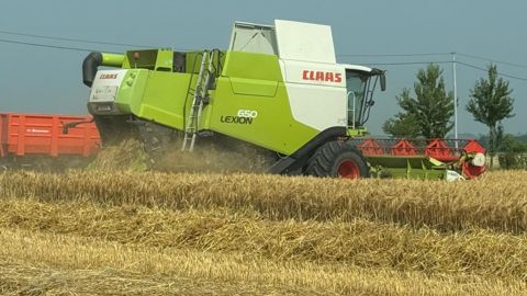 A la SAS Ballanger, la moisson 2025 a démarré mardi 10 juin à Pons, en Charente-Maritime. A la SAS Ballanger, la moisson 2025 a démarré mardi 10 juin à Pons, en Charente-Maritime.