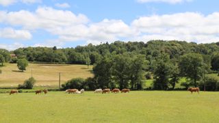 Les scientifiques de l'Inrae et du CNRS ont étudié les données entre 2008 et 2020 d'un réseau de 150 prairies en Allemagne, représentatives des prairies d'Europe exploitées dans des systèmes plus ou moins intensifs.