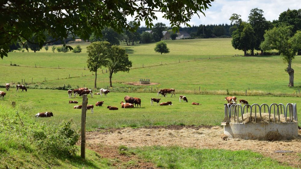 Pour les futurs territoires du dispositif «Territoire pilote transmission », la Région annonce une enveloppe de 40 000  € par territoire et pour trois ans.