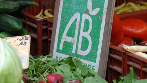 Alors que les surfaces en bio reculent, la Fnab demande davantage d'aides aux producteurs bio. Alors que les surfaces en bio reculent, la Fnab demande davantage d'aides aux producteurs bio.