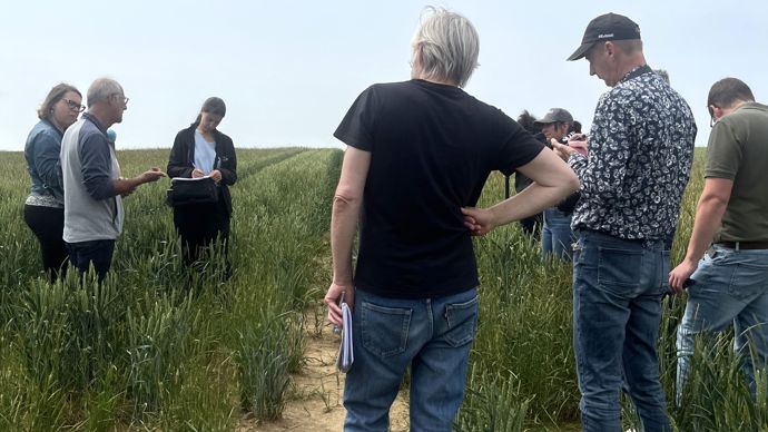 Chez Lorca, le service technique est mobilisé depuis plusieurs années sur la problématique vulpin et s’est associé à la journée organisée mardi 10 juin, à Argancy (Moselle).
