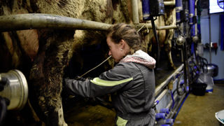 Le contrôle de fin de plan d'entreprise déclenche le versement du solde de la dotation au jeune agriculteur. Le contrôle de fin de plan d'entreprise déclenche le versement du solde de la dotation au jeune agriculteur.