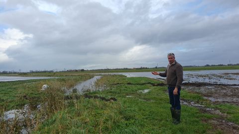 Sur l'exploitation d'Antoine Peenaert, 400 mm de pluie s'est abattue en dix jours à la fin de l'année 2023. Sur l'exploitation d'Antoine Peenaert, 400 mm de pluie s'est abattue en dix jours à la fin de l'année 2023.