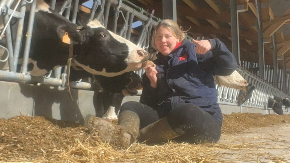 Gwenaëlle Desrumaux jeune éleveuse de vaches laitières Gwenaëlle Desrumaux jeune éleveuse de vaches laitières