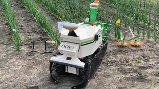 Le petit robot Oz est à l'origine du succès de Naïo, avec plusieurs centaines d'unités vendues, selon le constructeur. Le petit robot Oz est à l'origine du succès de Naïo, avec plusieurs centaines d'unités vendues, selon le constructeur.
