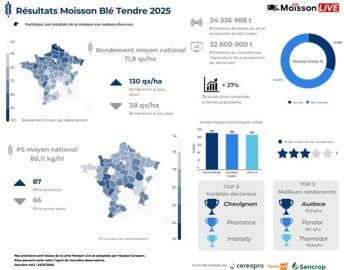 Résultats blé tendre