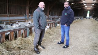 « La conduite repose sur la race limousine qui permet d'organiser des luttes naturelles tout au long de l'année », explique Didier Dubosclard, à gauche, et Julien Vaisset, de la chambre d'agriculture.