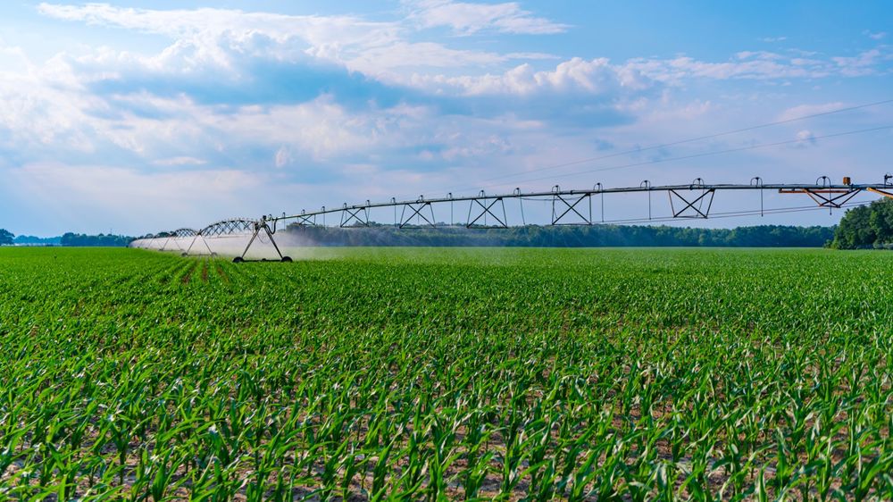 A horizon 2050, les restrictions d'usage de l'eau pourraient concernées chaque année la quasi-totalité de la France comme en 2022.