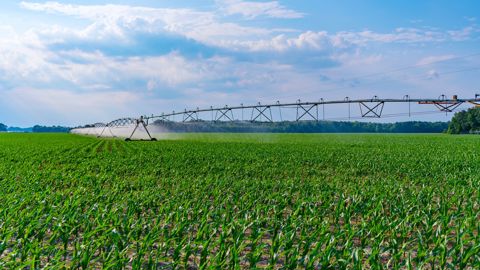 A horizon 2050, les restrictions d'usage de l'eau pourraient concernées chaque année la quasi-totalité de la France comme en 2022.