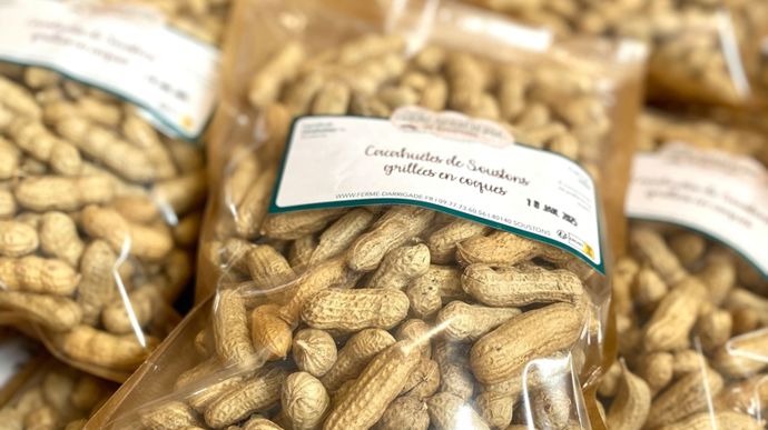 Le Sud-Ouest, terre de cacahuètes - Marché
