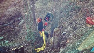 Treuil en action en forêt dans une zone accidentée.